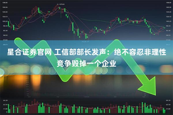 星合证券官网 工信部部长发声：绝不容忍非理性竞争毁掉一个企业