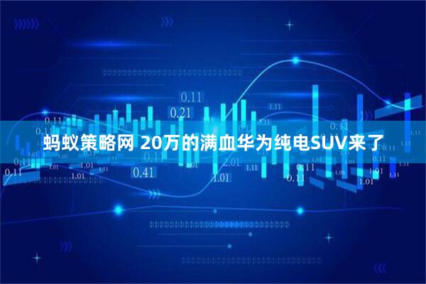 蚂蚁策略网 20万的满血华为纯电SUV来了