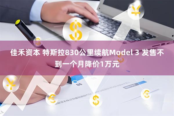 佳禾资本 特斯拉830公里续航Model 3 发售不到一个月降价1万元