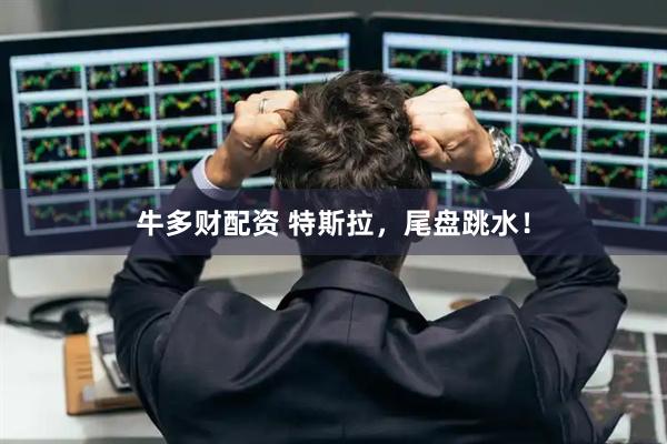 牛多财配资 特斯拉，尾盘跳水！