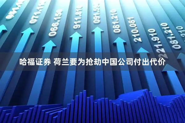 哈福证券 荷兰要为抢劫中国公司付出代价